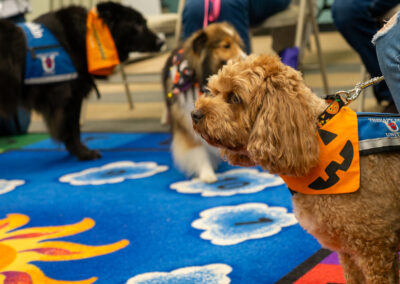 Housing Authority of the City of Erie